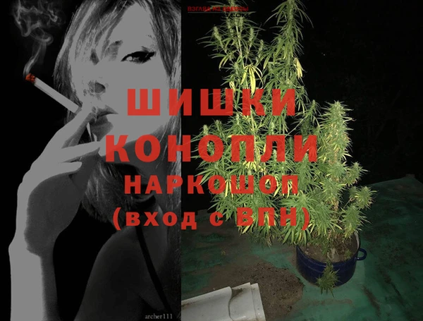 гидропоника Карпинск