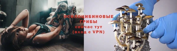 кокс Касимов