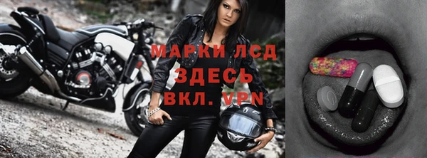кокс Касимов